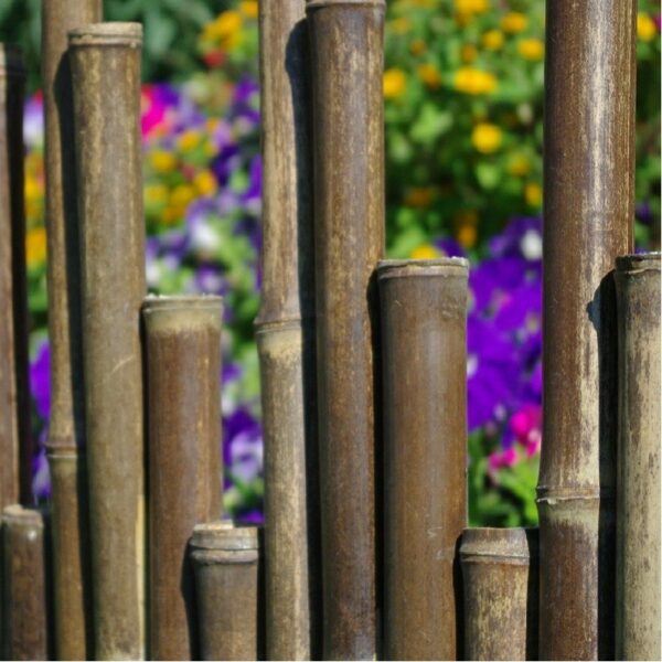 Bordures de jardin en bambou noir