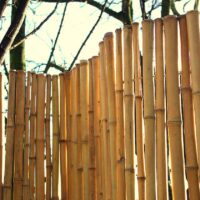 Clôture, Palissade Bambou Naturel gamme Sauvage régulier EMBU / 2-RWF150