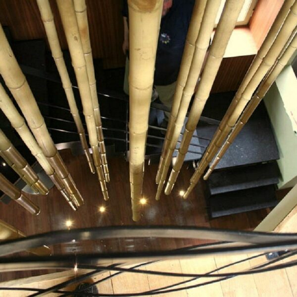 Tiges de bambou naturel