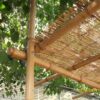 Tiges de bambou naturel