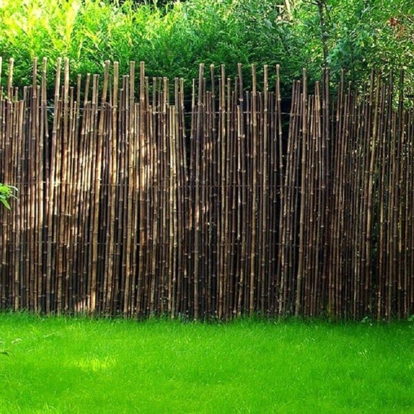 Clôture de bambou noir