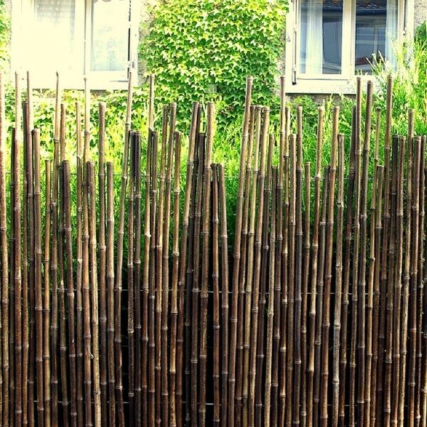 Clôture de bambou noir