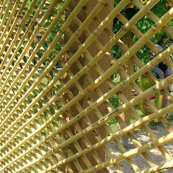 Treillis en bambou naturel