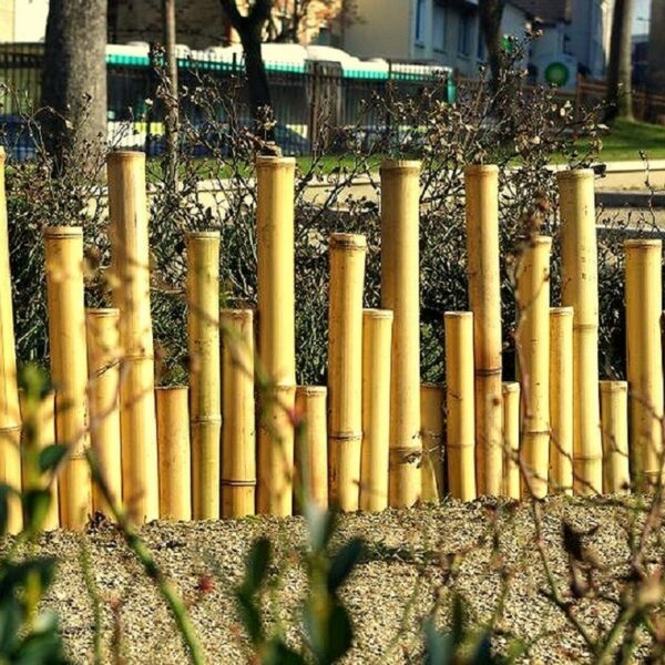 Bordures de jardin en bambou naturel