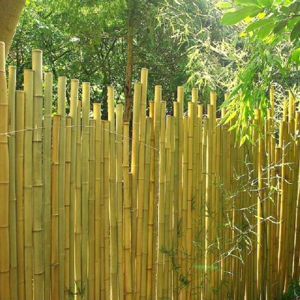 Clôture en bambou aspect japonais
