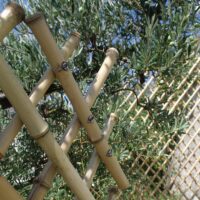 Treillis en bambou, treillage, séparation naturel 150x150cm SWAP / TM150