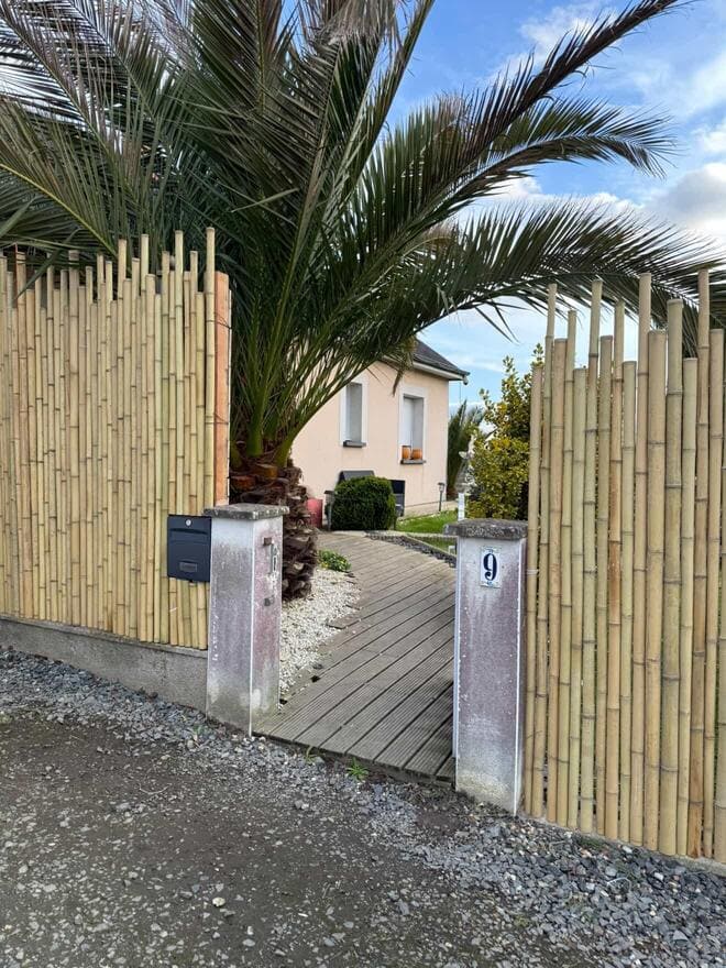 Clôture Bambou Naturel Japonaise Irrégulière | Brise-Vue Occultant 90% | Hauteur 250cm | Écologique Durable | 5-JF250 – Image 4