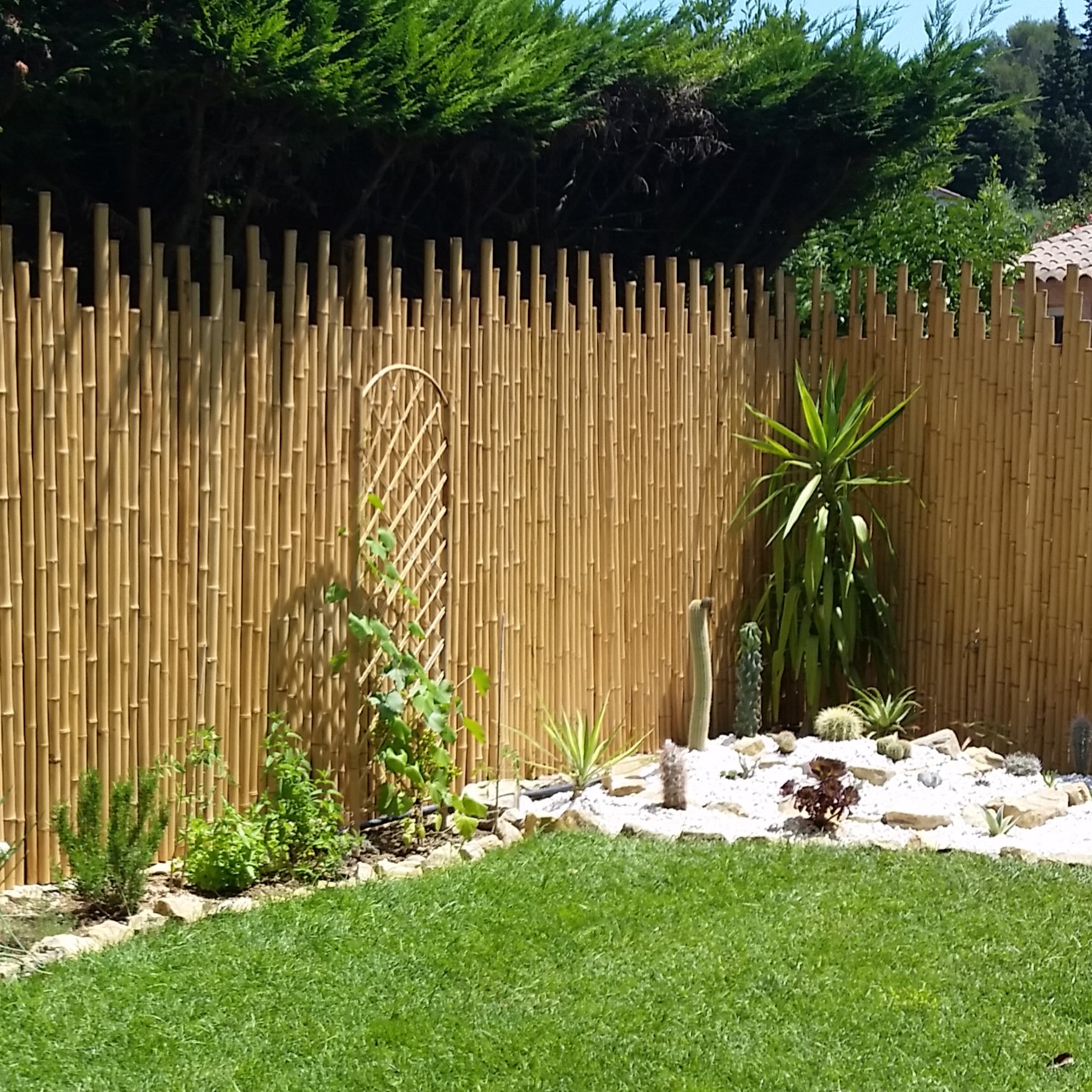 Bambou jardin : cloture brise vue en bambou noir naturel