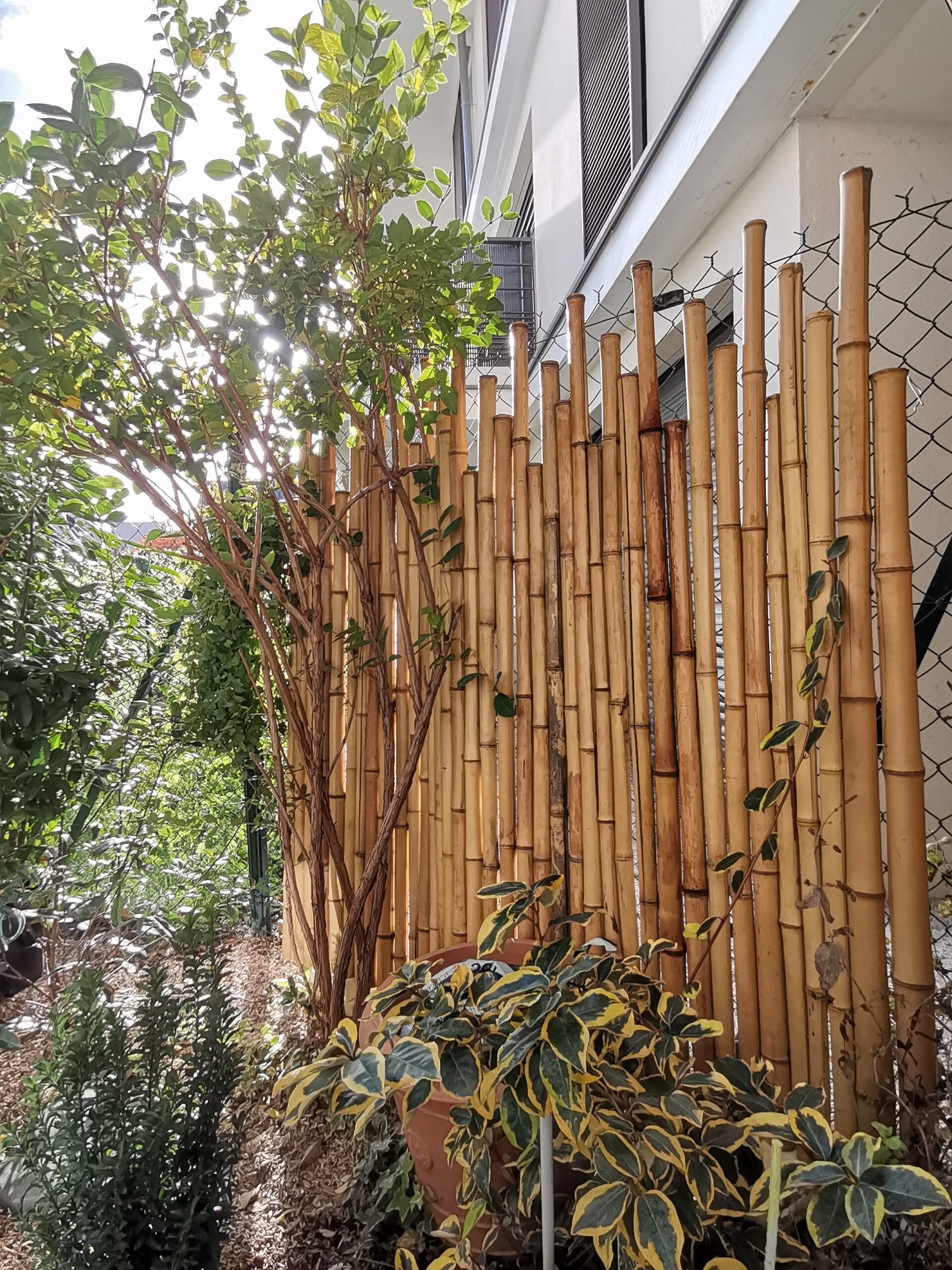Clôture Bambou Naturel gamme Japonaise irrégulière