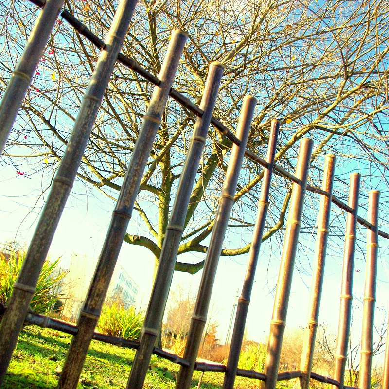 Barrière de Jardin en bambou Noir - hauteur 120 cm / BBAR120