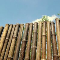 Clôture bambou noir Ø 20/28mm – Bambou World