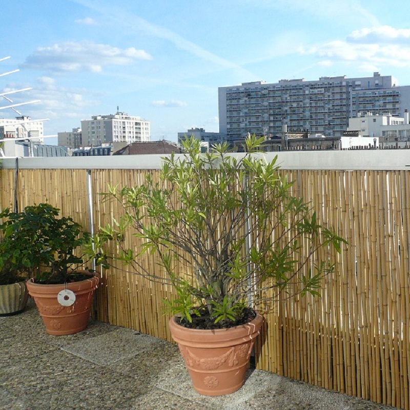 Clôture Bambou Gamme régulière SIPA / 2-RF100