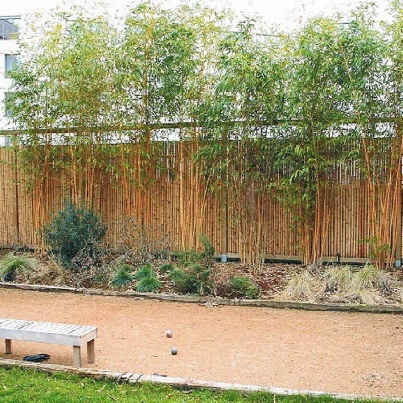 Clôture Bambou Occultante Gamme Régulière Naturel DITO / 5-RF200 – Image 5