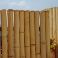 Clôture Bambou Occultante Gamme Régulière Naturel LISA / 7-RF150
