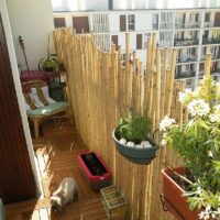 Clôture Bambou Naturel Gamme Sauvage Irrégulier ITON / 2-WF150
