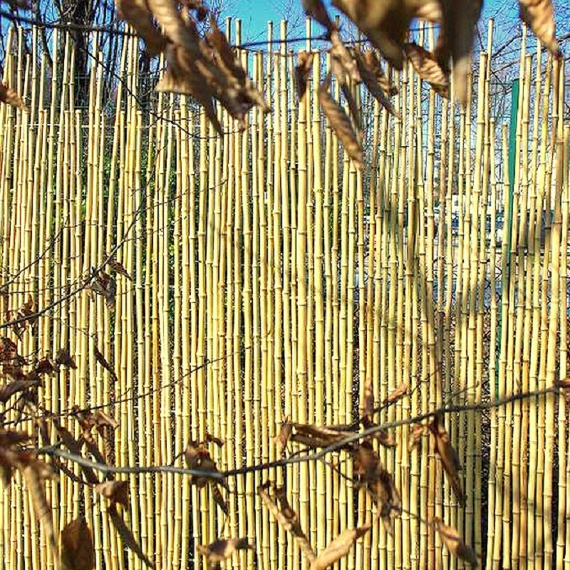 Clôture Bambou Naturel Gamme Sauvage Irrégulier LISO / 2-WF200 – Image 4