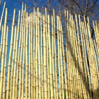Clôture Bambou, Brise vent naturel Gamme Sauvage Irrégulier MITU / 2-WF250