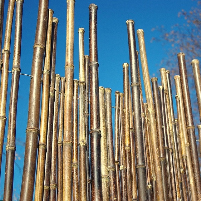 Clôture Bambou, Palissade Noir Gamme Sauvage Irrégulière PASO / 2-WBF250 – Image 7