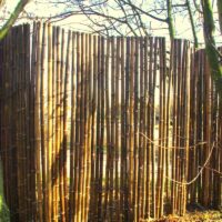 Clôture Bambou Noir Gamme Sauvage Régulière FARO / 2-RWBF150