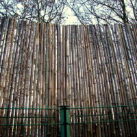 Clôture Bambou Noir Gamme Sauvage Régulière FINE / 2-RWBF200