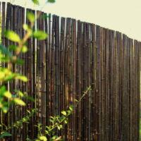 Clôture Bambou Noir Gamme Sauvage Régulière FORE / 2-RWBF250