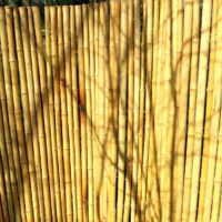 Clôture Bambou Naturel Gamme Sauvage Régulier EPIA / 2-RWF200
