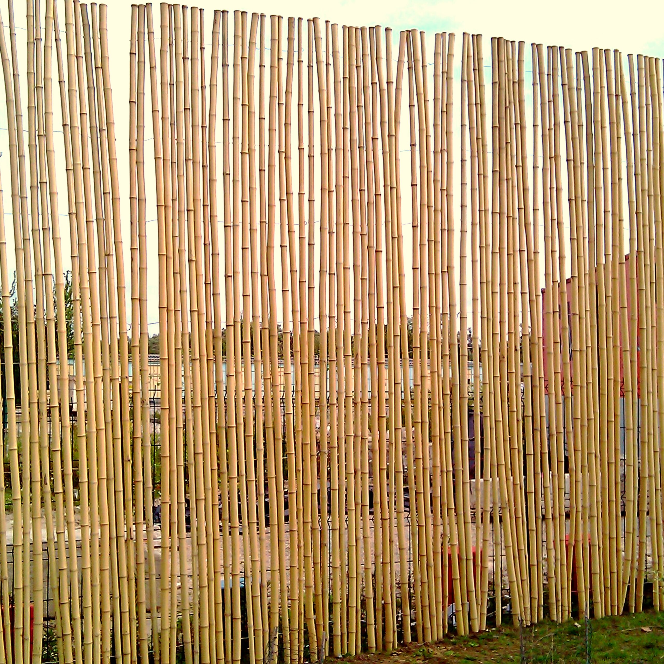 Clôture Bambou Naturel Gamme Sauvage Régulier ERRA / 2-RWF250