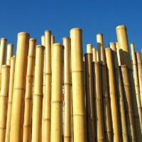Clôture Bambou Naturel Gamme Zen Irrégulier WITO / ZF150