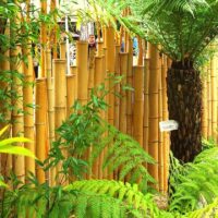 Clôture Bambou Naturel Gamme Zen Irrégulier WITO / ZF150