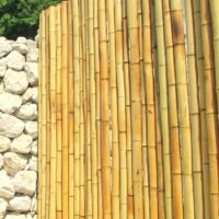 Clôture Bambou Naturel Gamme Zen Régulier INCA / RZF200