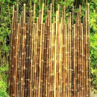 Clôture Bambou Noir gamme Japonaise Irrégulière LILI / 5-JBF150
