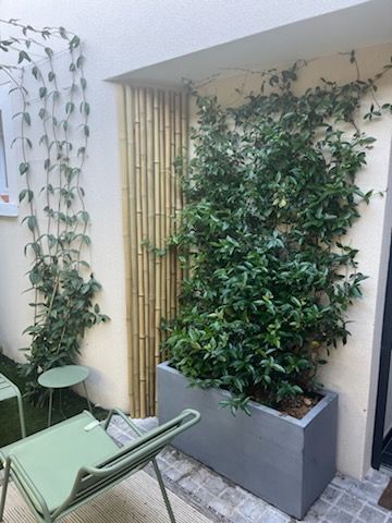 Clôture Bambou Occultante Gamme Régulière Naturel DITO / 5-RF200 – Image 7