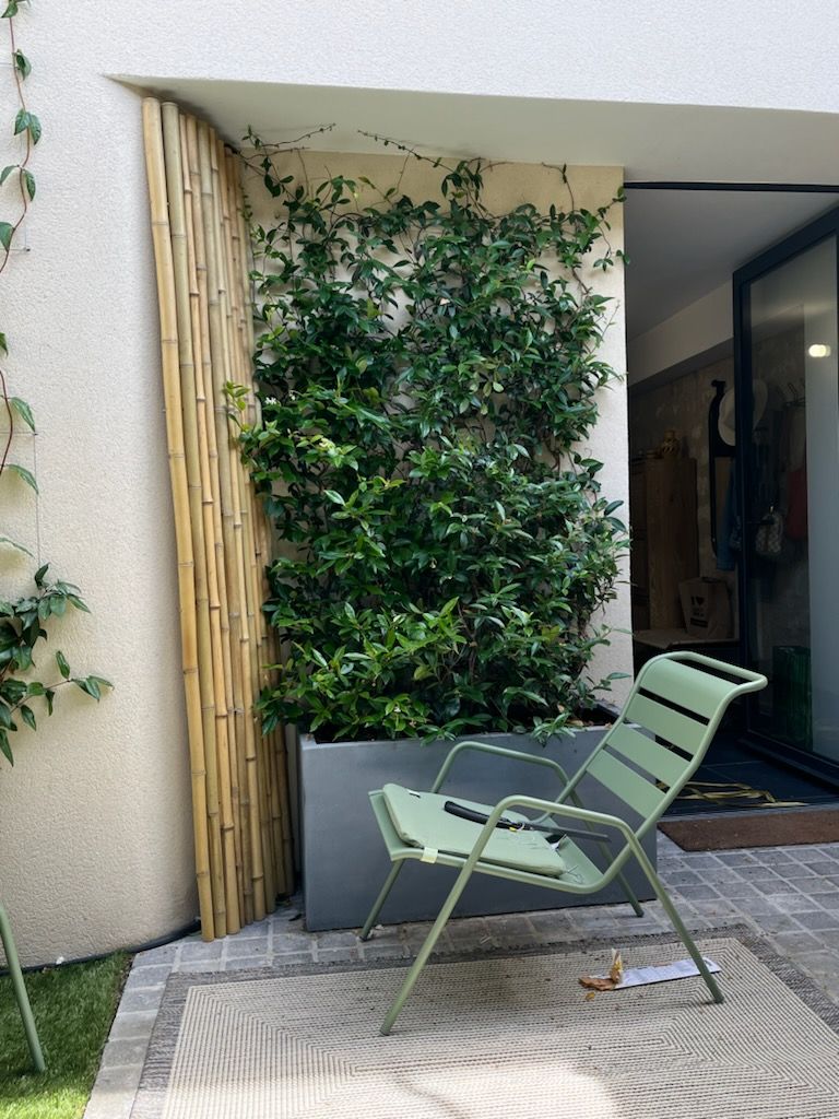 Clôture Bambou Occultante Gamme Régulière Naturel DITO / 5-RF200 – Image 6