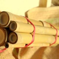 Kit de massage de 8 rouleaux de bambous pour professionnels