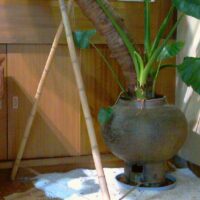 Lot de 8 Tiges de Bambou, Chaumes Naturel ZITO / T05-300