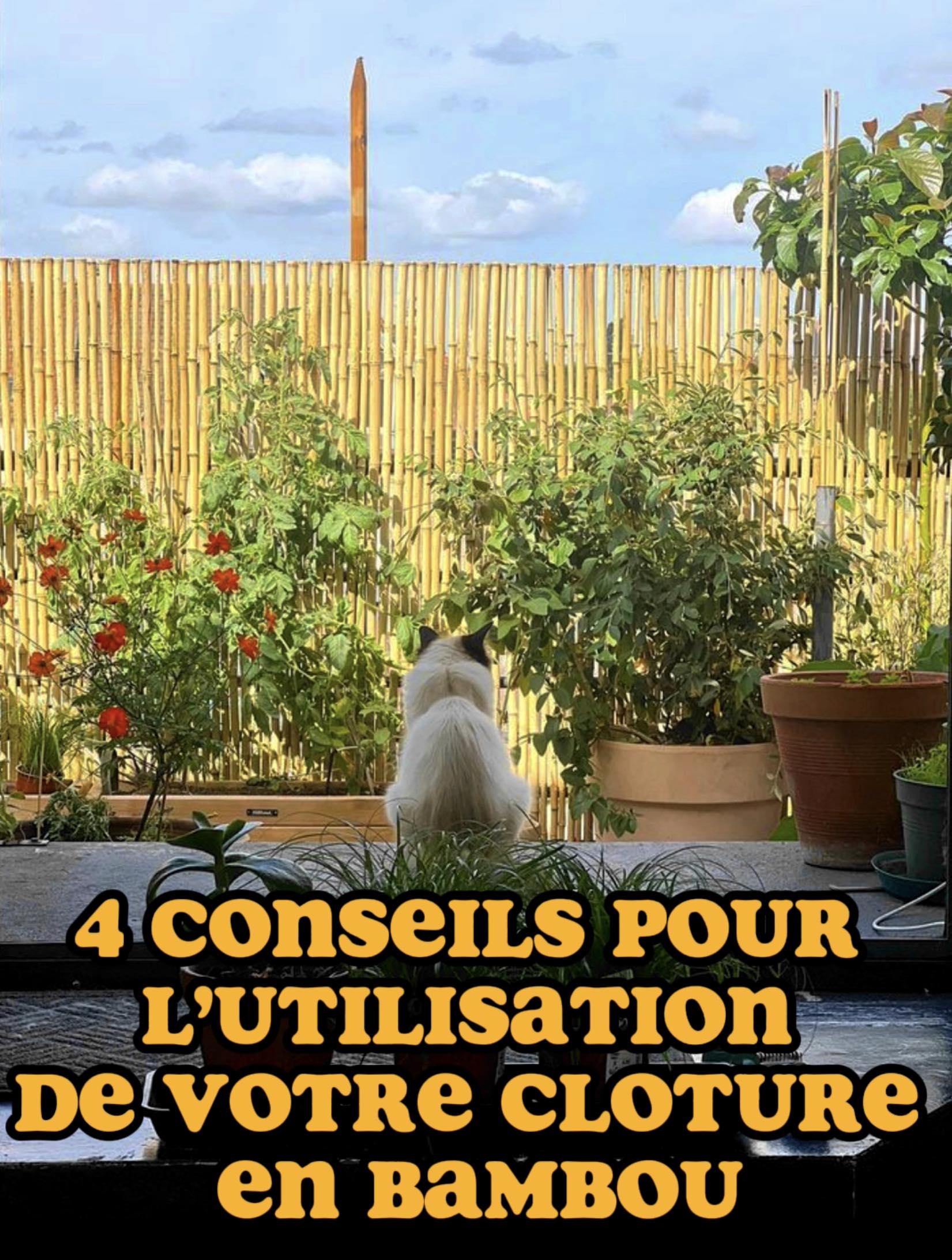 Lire la suite à propos de l’article 4 précieux conseils pour l’utilisation de vos Clôtures en Bambou ! Guide et Choix pour embellir votre jardin