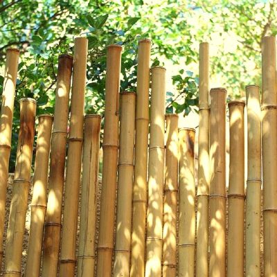 Clôture en bambou naturel